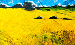 Yvonne Handley Hartnett